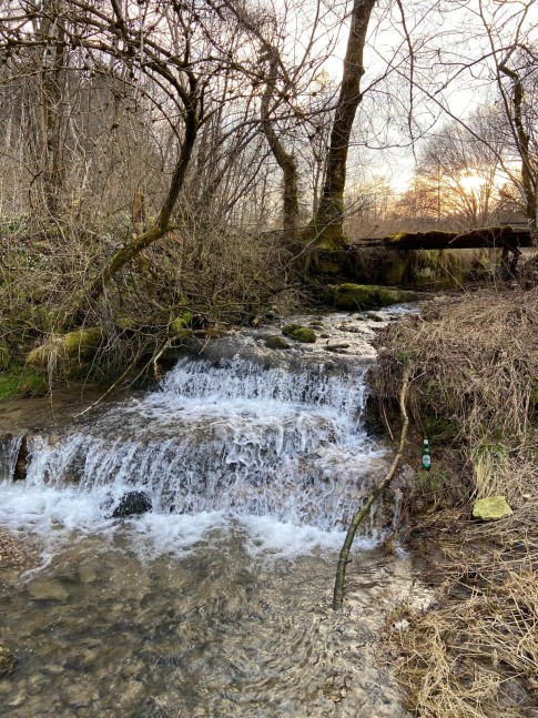 Wasser