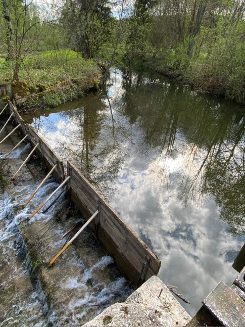 Staubereich